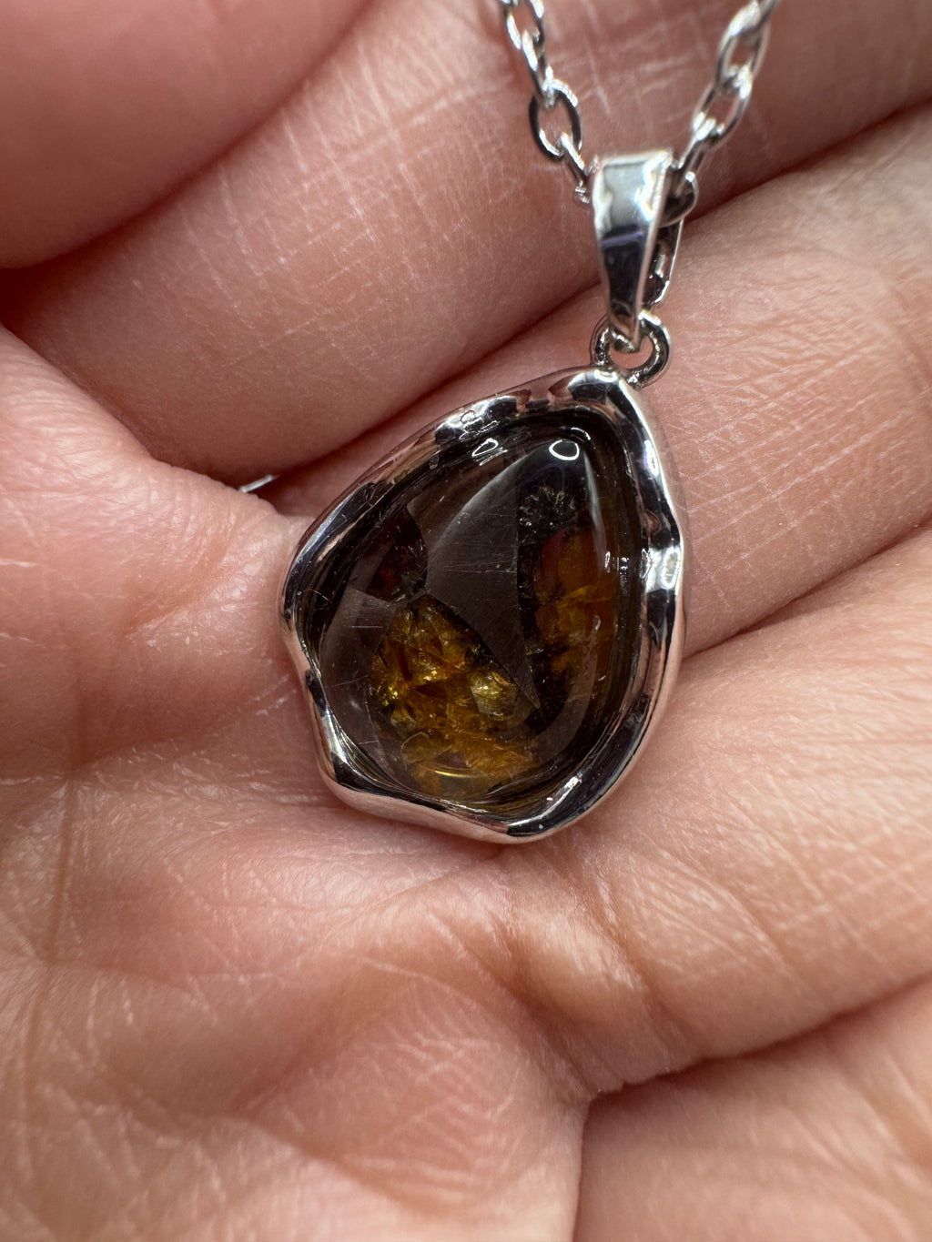 Pallasite Teardrop Stainless Steel Necklace