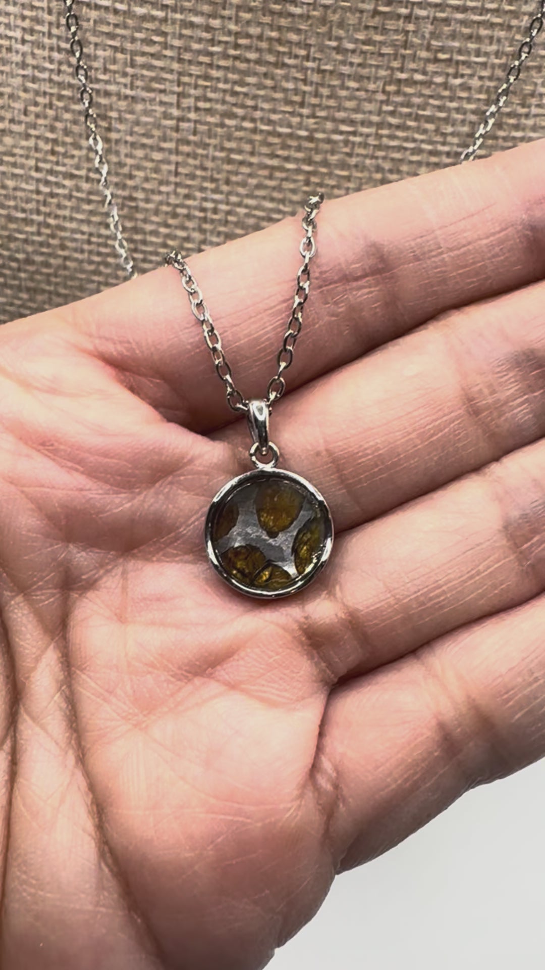 Double-Sided Pallasite & Meteorite Pendant Necklace